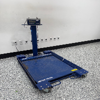 Mettler Toledo 30x30 Floor Scale image 0